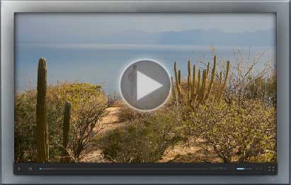 Man looking out over Azul de Cortez - La Paz-Baja